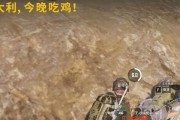 绝地求生中击杀队友选项为何消失？