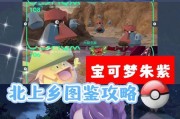 如何前往口袋妖怪紫光8号道路？