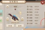 宠物灵魂问道玩法介绍？如何正确操作宠物灵魂问道？