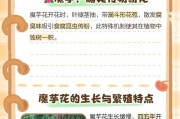 魔域花的合成方法是什么？需要哪些材料？