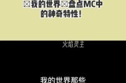 如何鉴定我的世界的真实性？我的世界鉴定的方法有哪些？