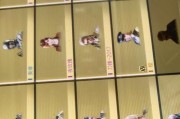CF苹果赠送安卓礼物的费用是多少？