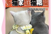 绝地求生胖猫过桥技巧有哪些？如何利用胖猫？