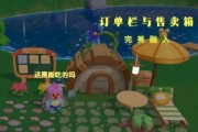 摩尔庄园抓猪技巧是什么？有哪些步骤？