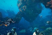 前《深海迷航2》开发团队领导层决定起诉发行商