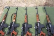 暗区突围SVDS（细数暗区突围SVDS的创新玩法与游戏优势）