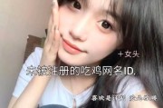 绝地求生id不支持中文怎么解决？有无替代方案？