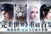 完美世界实名认证流程是怎样的？