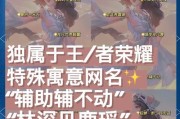 王者荣耀取名有哪些创意？