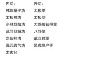 《侠客武当武学武当最强武学搭配一览》（揭秘武当派绝世武学）