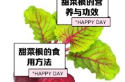 我的世界甜菜种植方法是什么？如何提高甜菜产量？