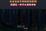 剑魂使用无影剑的效果如何？无影剑在剑魂手中表现如何？