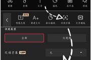大话西游添加字幕的步骤是什么？