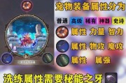 地下城宠物幻化功能如何开启？开启宠物幻化需要哪些条件？