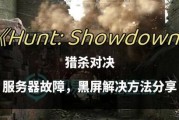 游戏黑屏问题原因是什么？如何解决？