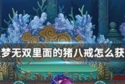 如何选猪八戒（15个技巧教你选到最适合的猪八戒）