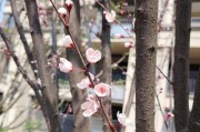 《以才不是童话继父继母攻略》（如何搭配最强继父继母阵容攻略）