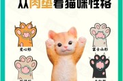 排位猫爪获取途径有哪些？