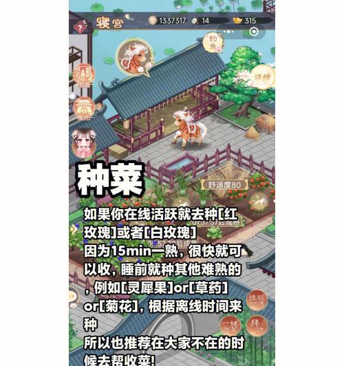 盛世芳华菜谱2023最新合集有哪些？如何快速找到所需食谱？