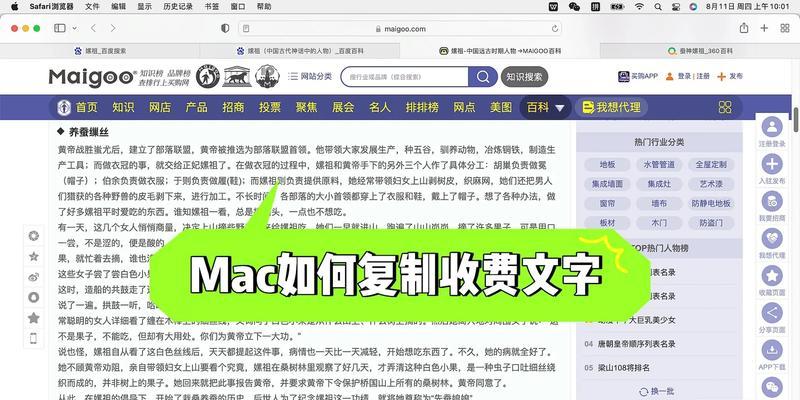 梦幻西游快速复制文字怎么弄？操作方法是什么？