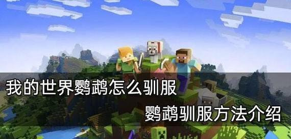 我的世界中鹦鹉如何繁殖？繁殖需要哪些条件？