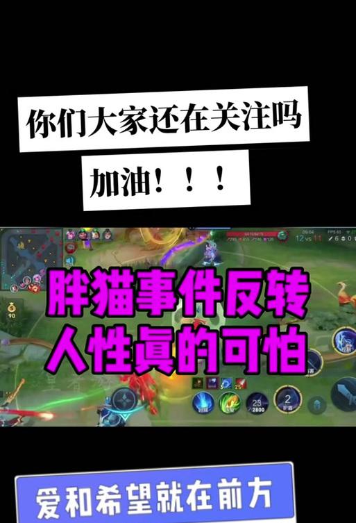 王者荣耀中胖猫适合哪个位置？