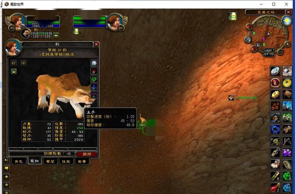 魔兽世界中猎人如何更好地带宠物？