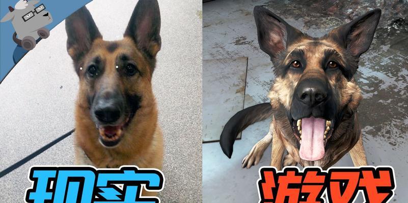狗肉在辐射4中的位置？如何与狗肉互动？