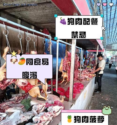 狗肉在辐射4中的位置？如何与狗肉互动？