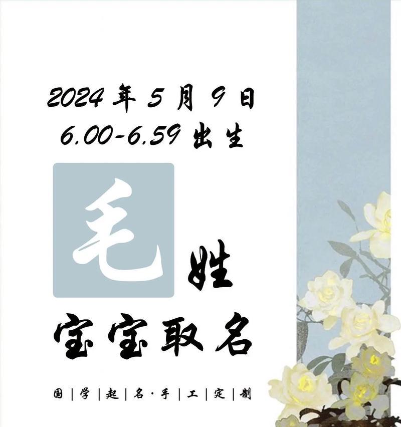 完美世界毛毛的名字选择有哪些创意？
