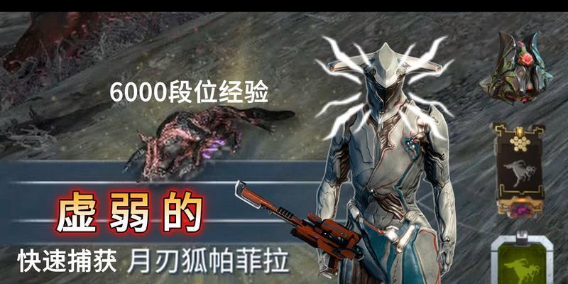 星际战甲铁甲狐配卡策略是什么？如何搭配最有效？
