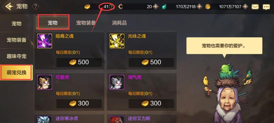地下城12月喂养宠物的最佳方式是什么？