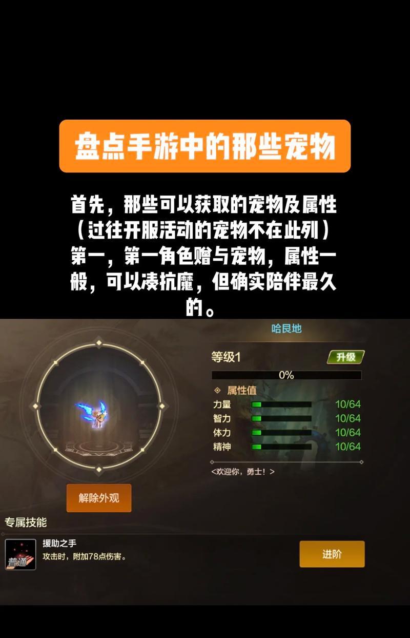 地下城宠物幻化功能如何开启？开启宠物幻化需要哪些条件？