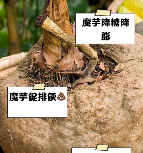 魔域花的合成方法是什么？需要哪些材料？