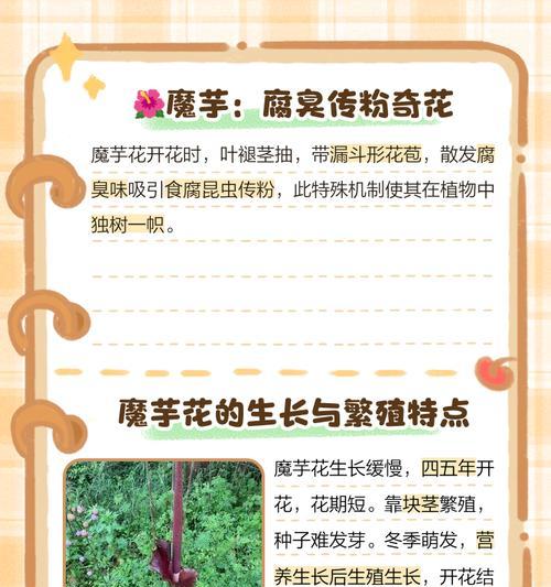 魔域花的合成方法是什么？需要哪些材料？