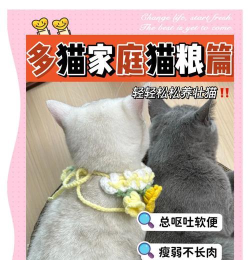 绝地求生胖猫过桥技巧有哪些？如何利用胖猫？