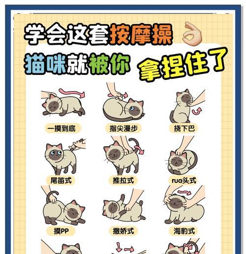 绝地求生胖猫过桥技巧有哪些？如何利用胖猫？