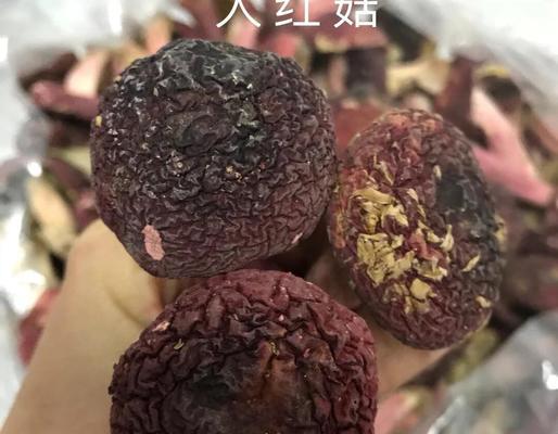 红圣菇捕捉技巧是什么？最佳捕捉地点在哪里？