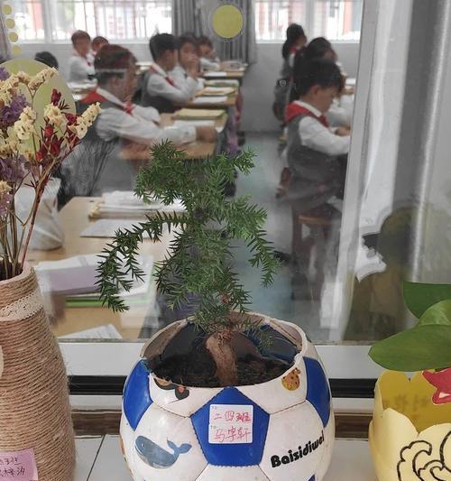 盆栽制作方法有哪些？需要哪些材料？