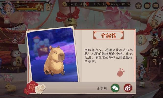 阴阳师守护水豚打法是什么？
