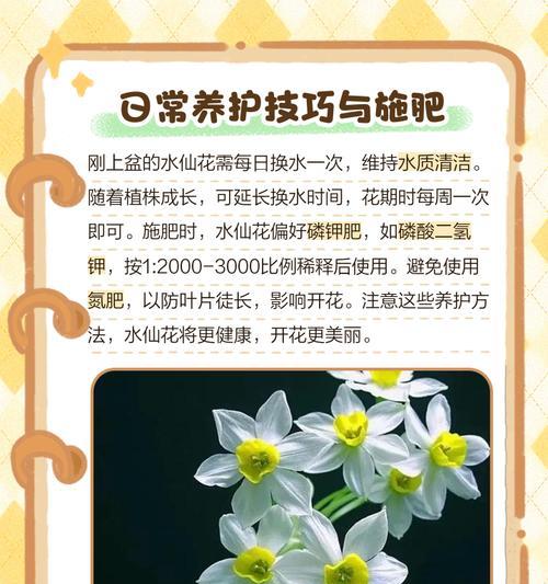 神仙道中妙手仙子的培养方法是什么？培养仙子的注意事项有哪些？