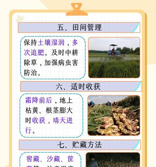我的世界中姜的种植方法是什么？种植姜需要注意什么？