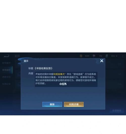 王者荣耀投诉玩家的流程是什么？投诉后会有哪些结果？