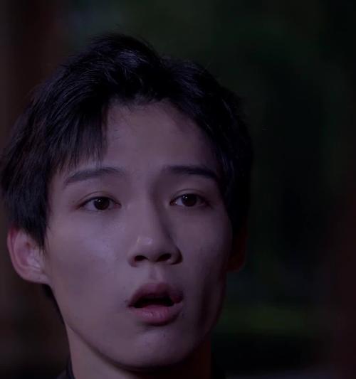 我本千金伙伴养成攻略（用心经营）