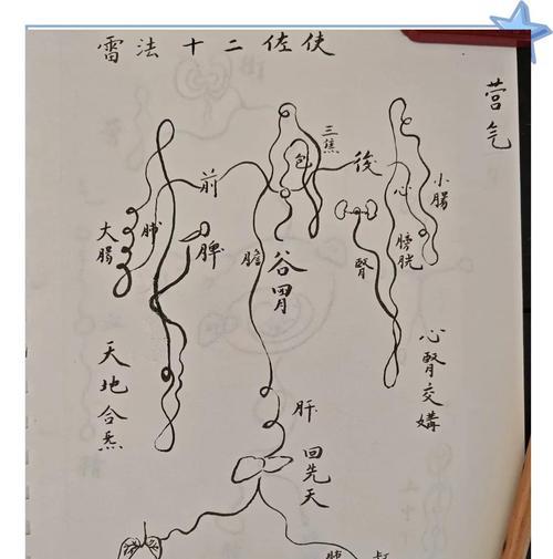 合道归元丹的正确使用方法是什么？