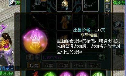 问道仙人巡游精魄获取技巧是什么？