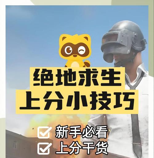 绝地求生中如何查看自己的分数？