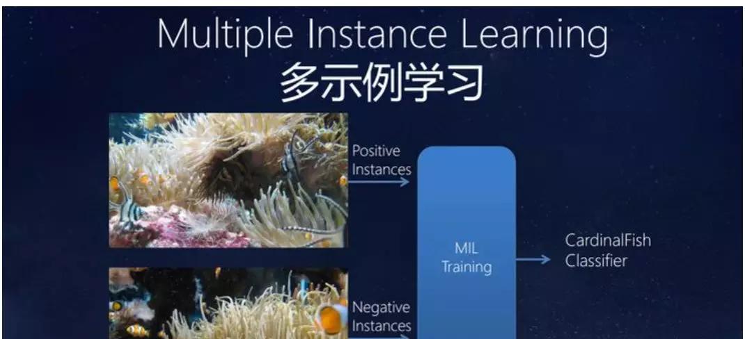 弱监督学习在医学影像中的探索