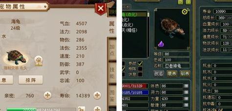 问道页面显示全白是什么原因？如何解决？