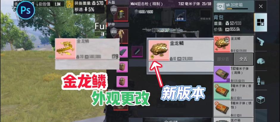 绝地求生中如何设置金龙特效以获得最佳效果？